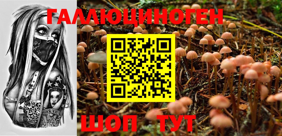 Псилоцибиновые грибы GOLDEN TEACHER Ханты-Мансийск