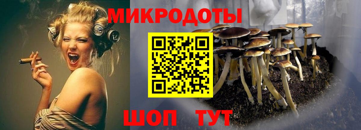 Ханты-Мансийск  Галлюциногенные грибы Psilocybine cubensis  Вход с VPN 